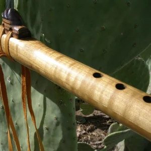 Play Flute In 6 Weeks